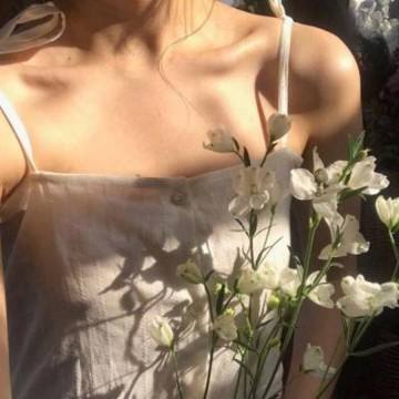 宫廷美人游戏手机版